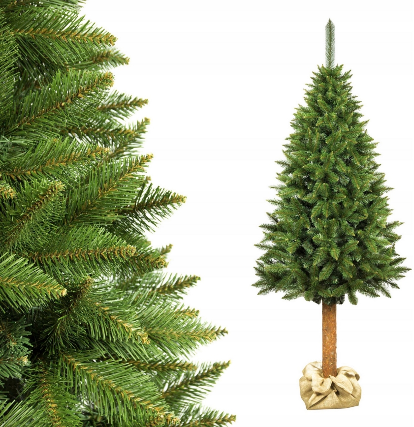 Choinka na pniu 220 cm, świerk