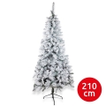 Choinka SCOTLAND 210 cm jodła