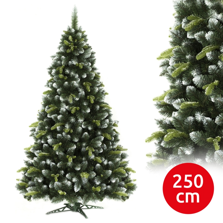 Choinka sosnowa 250 cm