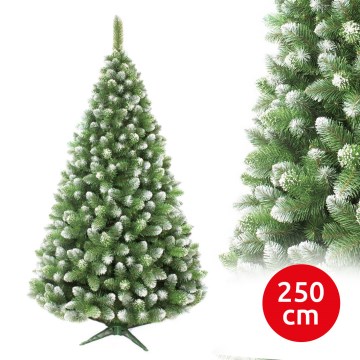 Choinka sosnowa 250 cm