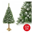 Choinka świąteczna na pniu 220 cm sosna