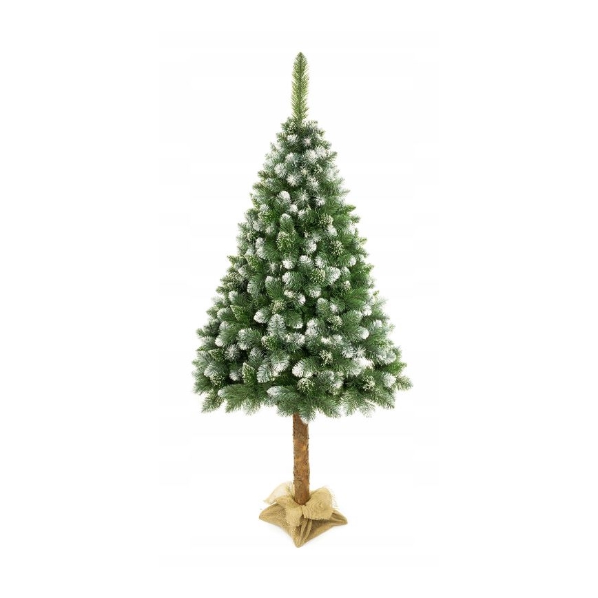 Choinka świąteczna na pniu 220 cm sosna
