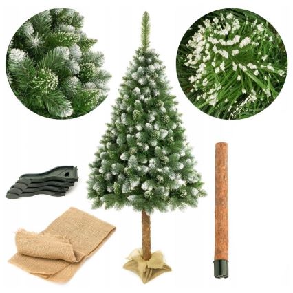 Choinka świąteczna na pniu 220 cm sosna