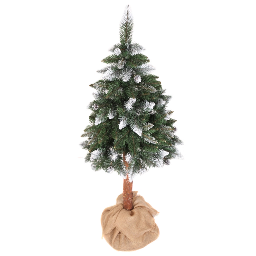 Choinka świąteczna PIN 180 cm sosna