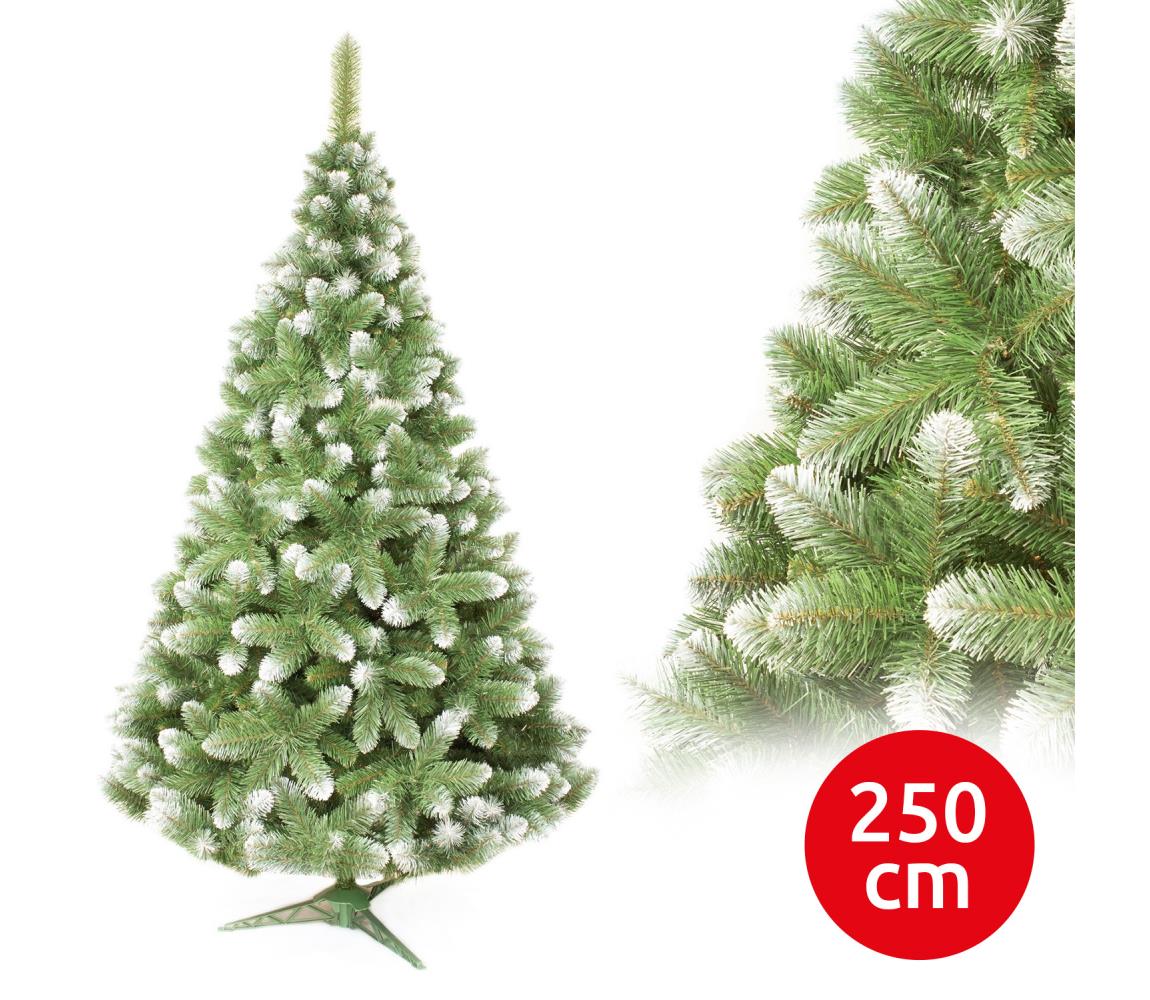 Choinka świąteczna sosna 250 cm