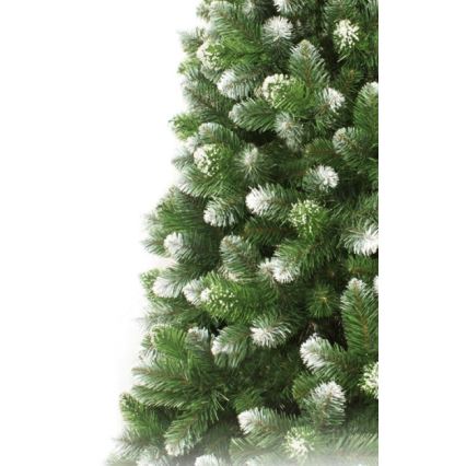 Choinka świerkowa 220 cm