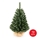 Choinka XMAS TREES 70 cm sosna