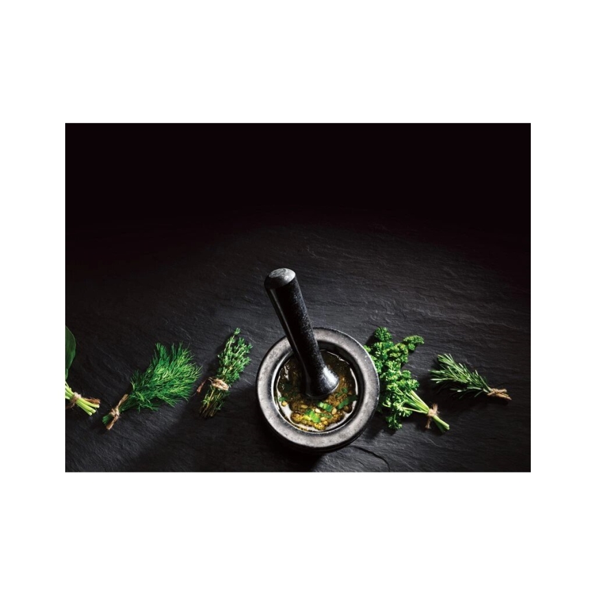 Cole&Mason - Granitowy moździerz z tłuczkiem GRANITE śr. 14 cm granit/czarny