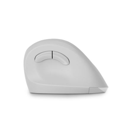 CONNECT IT CMO-2700-WH - Ergonomiczna mysz bezprzewodowa 800/1200/1600 DPI 1xAA biała