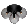 Cottex - Lampa sufitowa CAPELLA 3xE14/40W/230V Ø 37 cm dymione/czarne