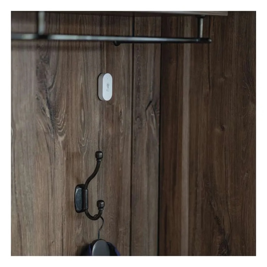 Cyfrowy bezprzewodowy termometr GoSmart 1×CR2032