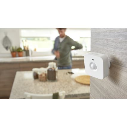 Czujnik ruchu Philips Hue 2xAAA IP42