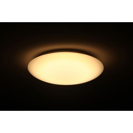 Dalen DL-C205T - LED Plafon SMART LED LED/25W/230V