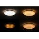 Dalen DL-C205TX - LED Plafon ściemnialny SMART 1xLED/25W