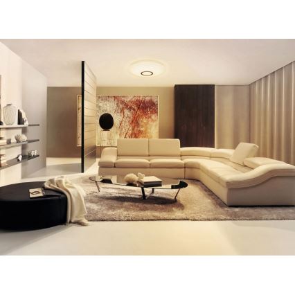 Dalen DL-C219TX - LED Lampa sufitowa LED/25W/230V