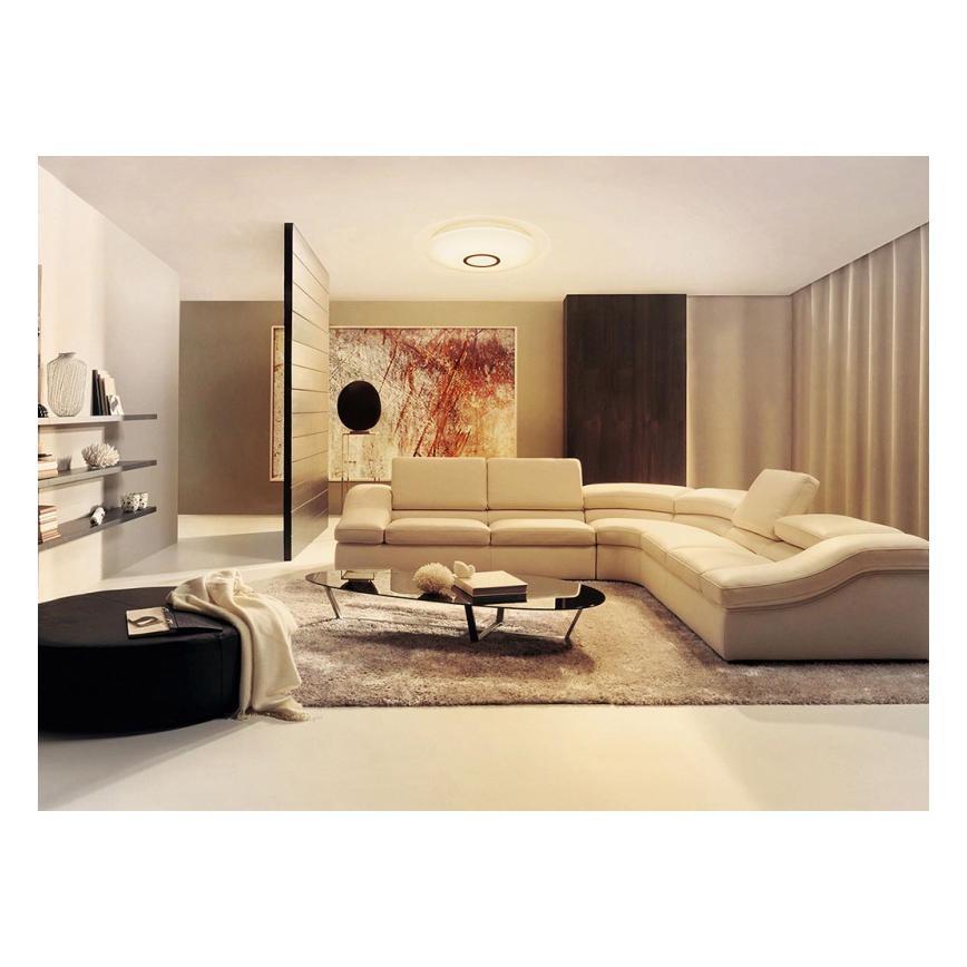 Dalen DL-C219TX - LED Lampa sufitowa LED/25W/230V