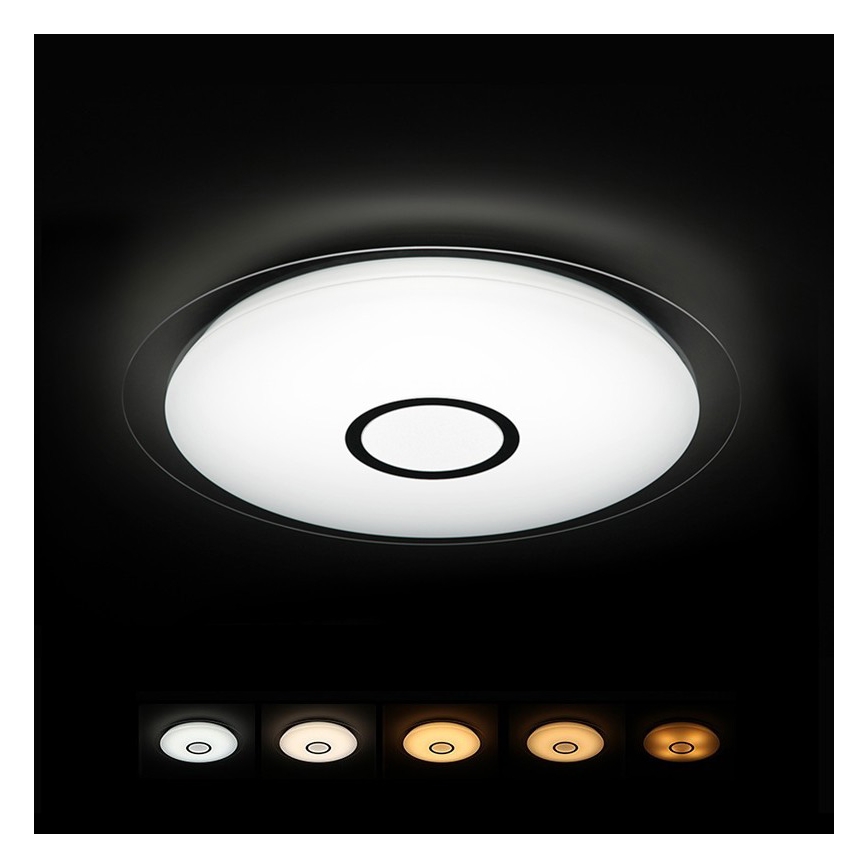 Dalen DL-C319T - LED Lampa sufitowa 1xLED/38W/230V