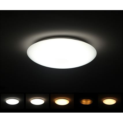 Dalen DL-C415T - CLASSIC LED downlight LED / 38W / 230V