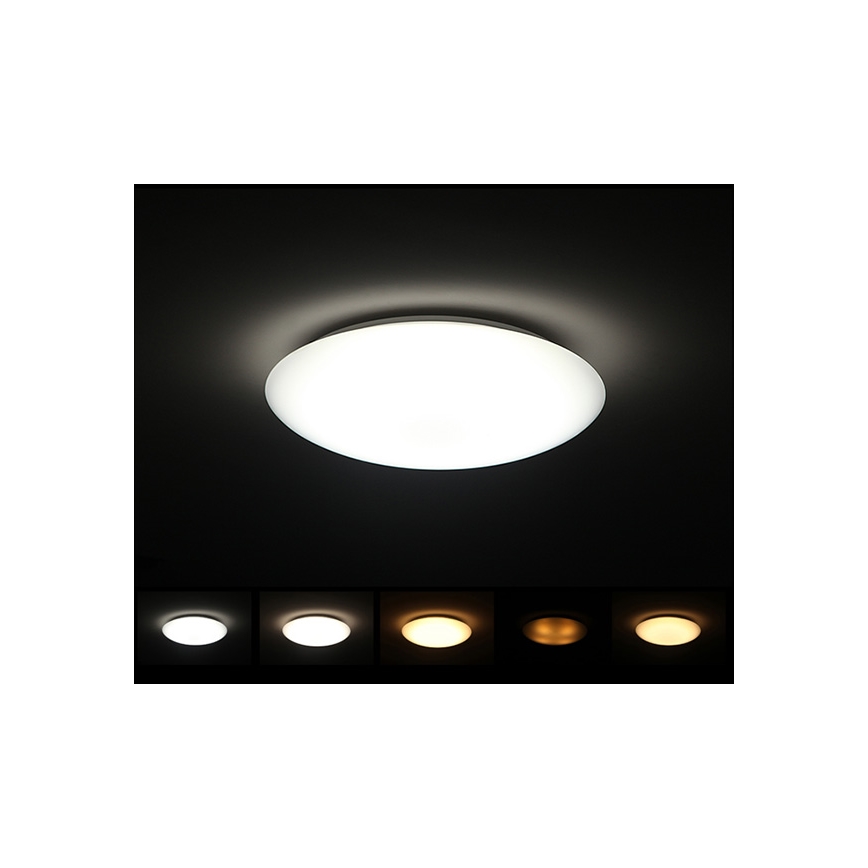 Dalen DL-C415T - CLASSIC LED downlight LED / 38W / 230V