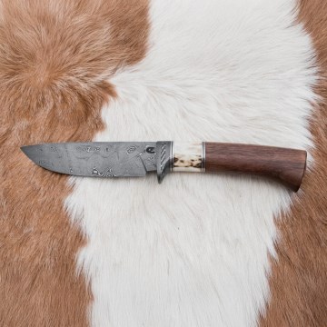 Damasceński nóż myśliwski 11,8 cm orzech/poroże jelenia