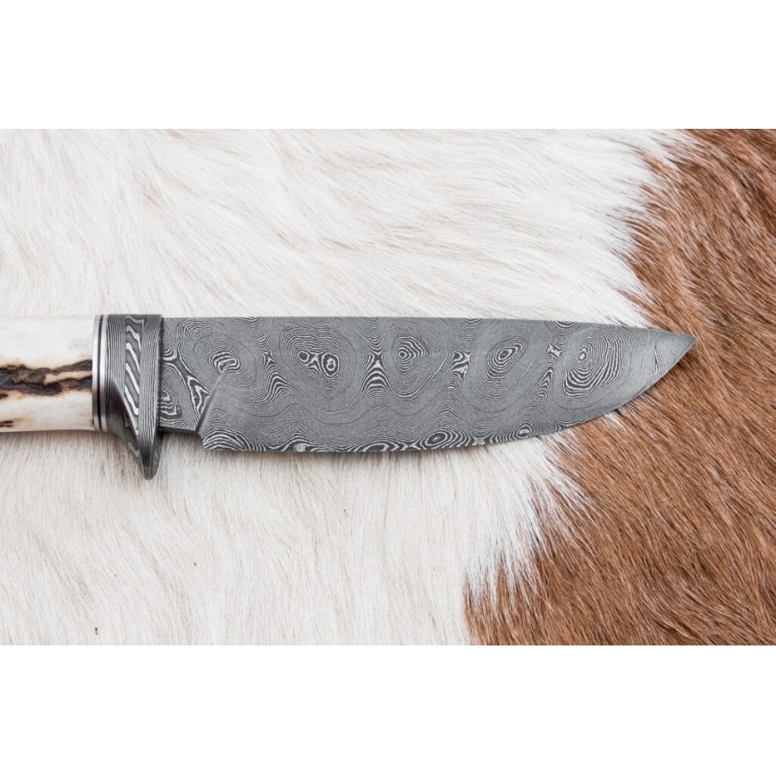 Damasceński nóż myśliwski 11,8 cm orzech/poroże jelenia
