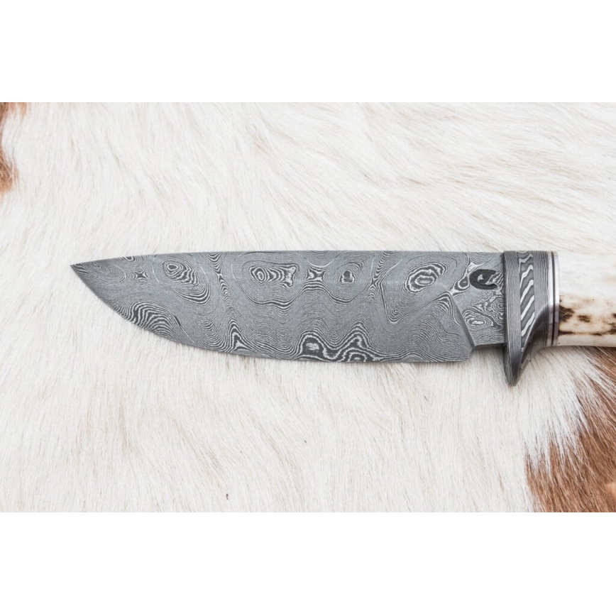Damasceński nóż myśliwski 11,8 cm orzech/poroże jelenia