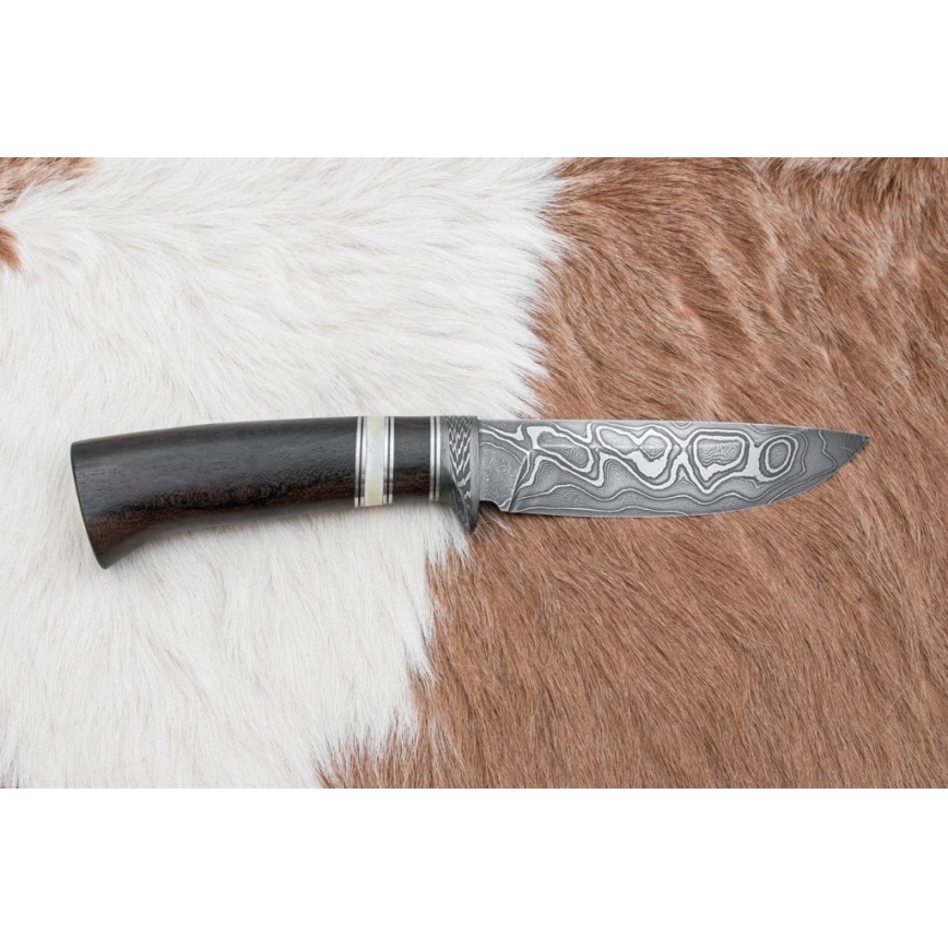 Damasceński nóż myśliwski 12,7 cm ziricote/kość bawola