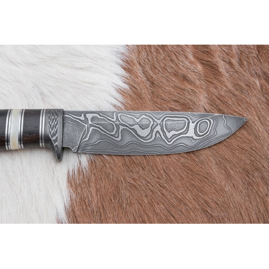 Damasceński nóż myśliwski 12,7 cm ziricote/kość bawola