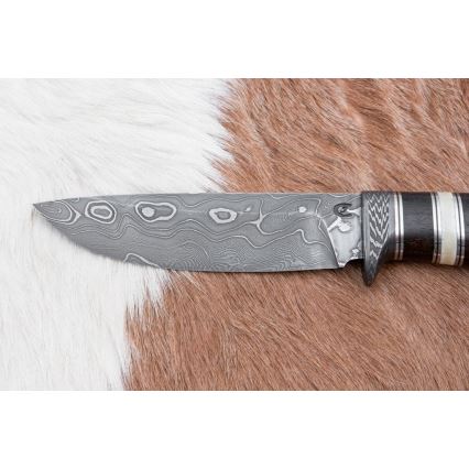 Damasceński nóż myśliwski 12,7 cm ziricote/kość bawola