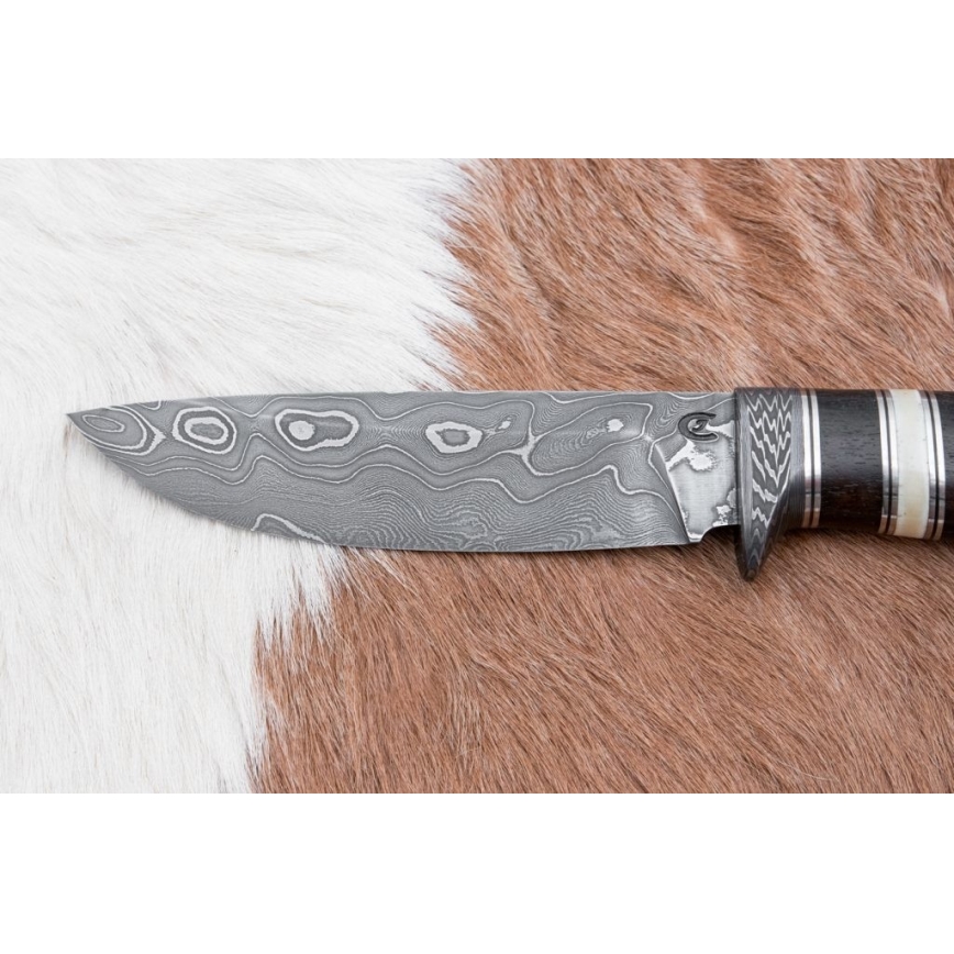 Damasceński nóż myśliwski 12,7 cm ziricote/kość bawola