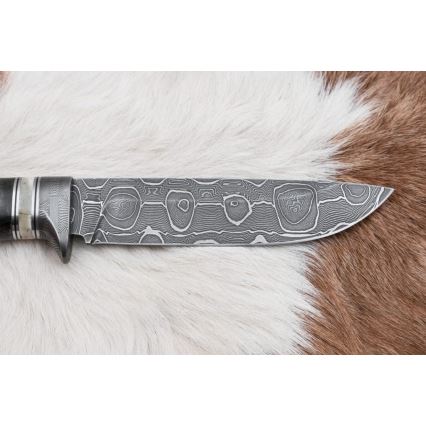 Damasceński nóż myśliwski 13,8 cm brzoza/kość wielbłądzia