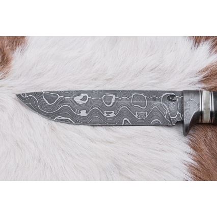 Damasceński nóż myśliwski 13,8 cm brzoza/kość wielbłądzia