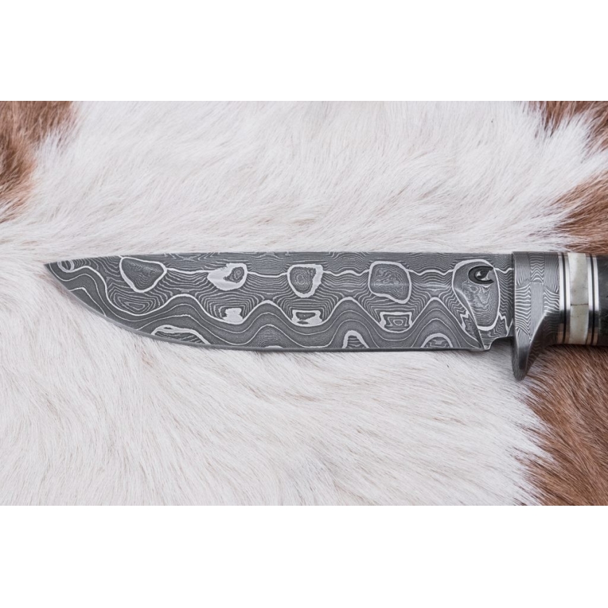 Damasceński nóż myśliwski 13,8 cm brzoza/kość wielbłądzia