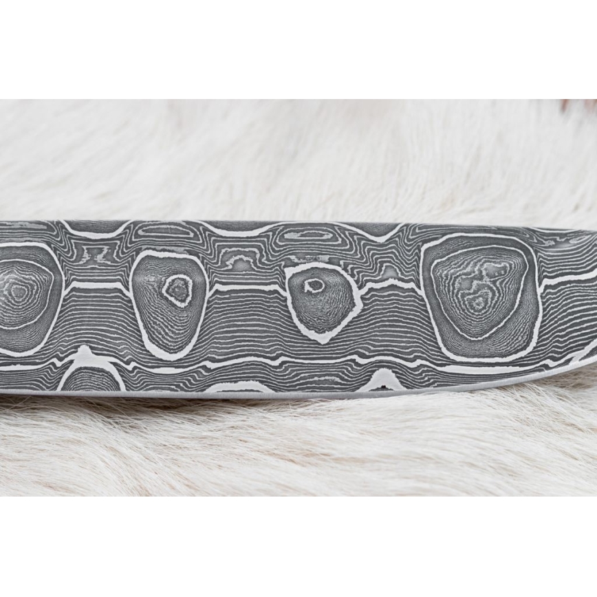 Damasceński nóż myśliwski 13,8 cm brzoza/kość wielbłądzia