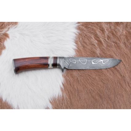 Damasceński nóż myśliwski 13,8 cm ironwood/kość bawola