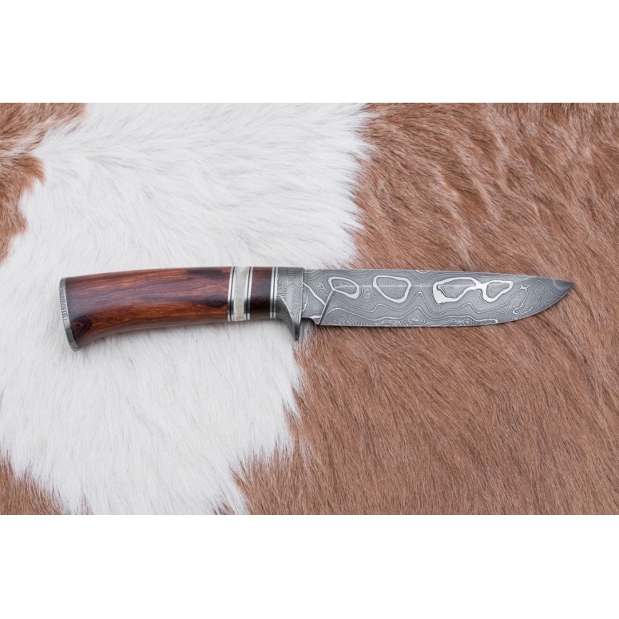 Damasceński nóż myśliwski 13,8 cm ironwood/kość bawola