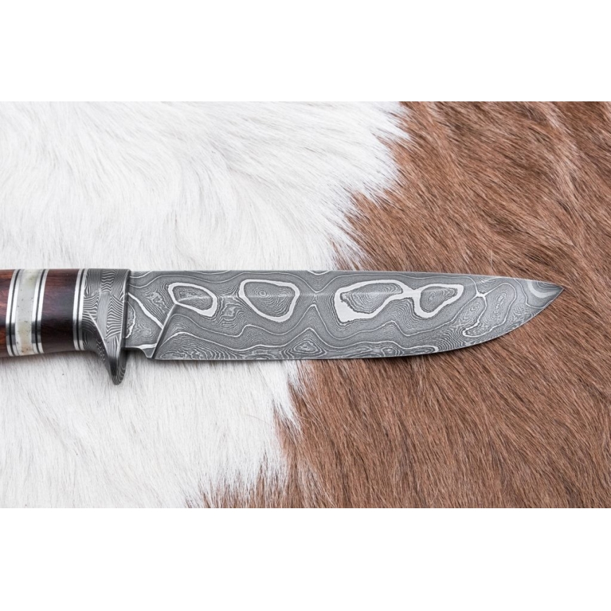 Damasceński nóż myśliwski 13,8 cm ironwood/kość bawola