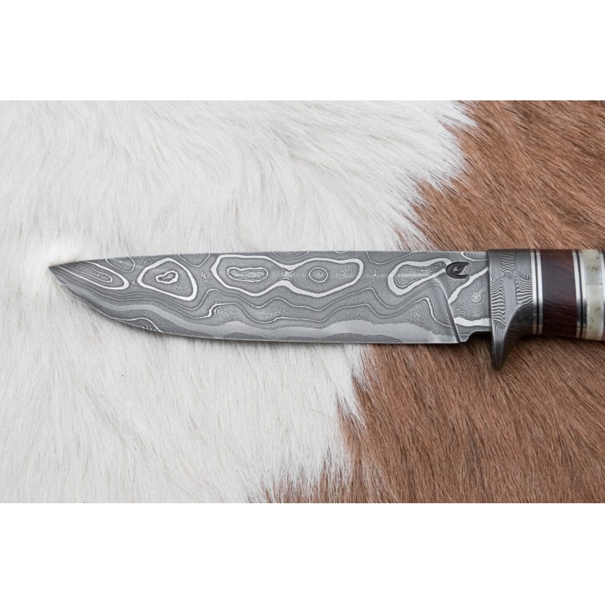 Damasceński nóż myśliwski 13,8 cm ironwood/kość bawola