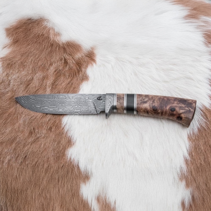 Damasceński nóż myśliwski 13 cm topola/heban