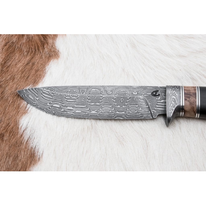 Damasceński nóż myśliwski 13 cm topola/heban