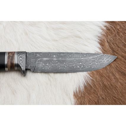 Damasceński nóż myśliwski 13 cm topola/heban