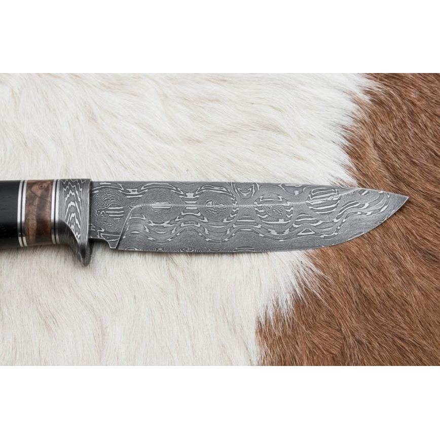Damasceński nóż myśliwski 13 cm topola/heban