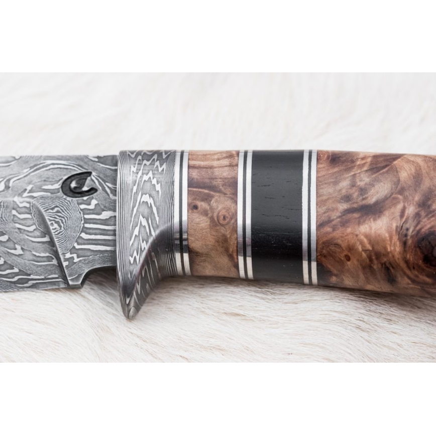 Damasceński nóż myśliwski 13 cm topola/heban