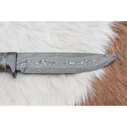 Damasceński nóż myśliwski 14 cm kasztanowiec