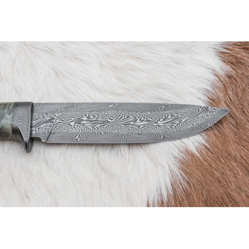 Damasceński nóż myśliwski 14 cm kasztanowiec