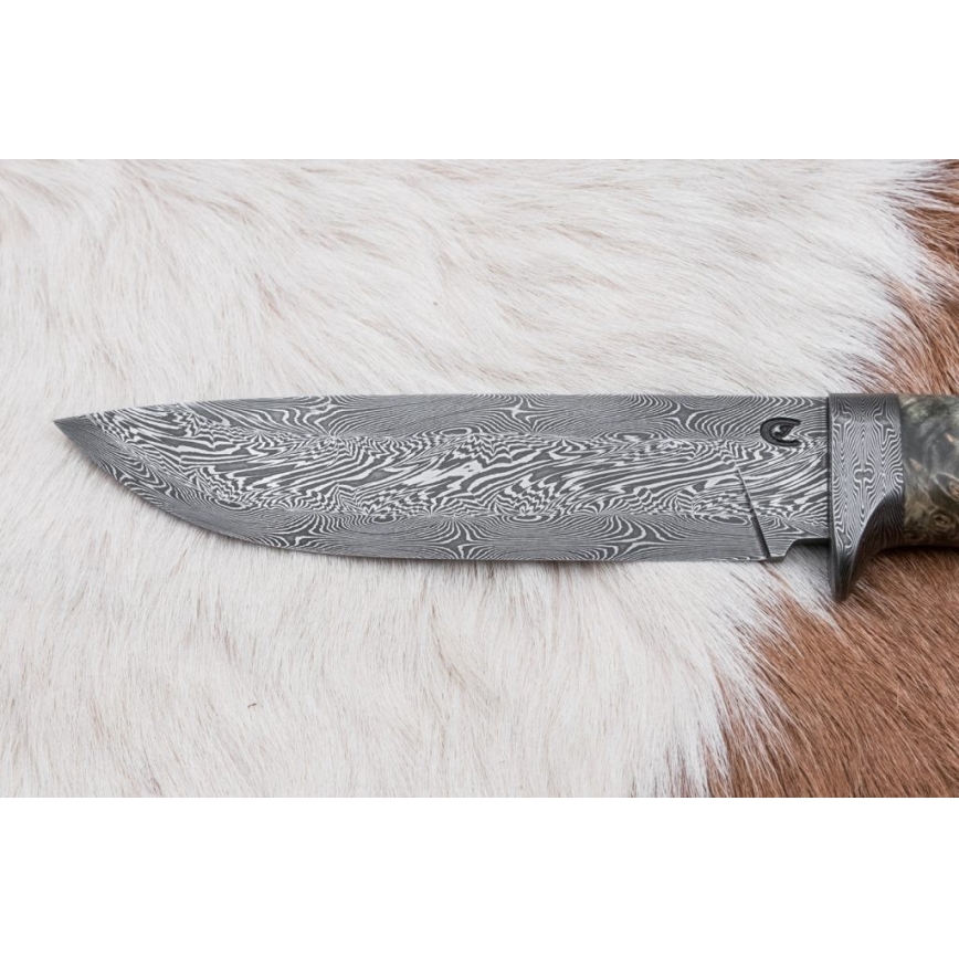 Damasceński nóż myśliwski 14 cm kasztanowiec