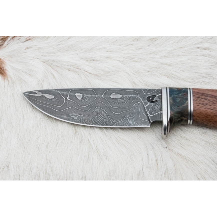 Damasceński nóż myśliwski 9,7 cm orzech/klon