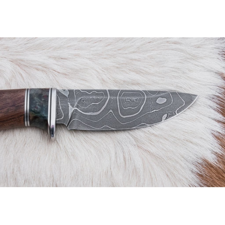 Damasceński nóż myśliwski 9,7 cm orzech/klon