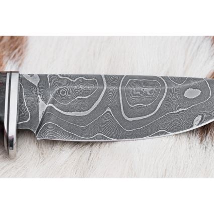 Damasceński nóż myśliwski 9,7 cm orzech/klon