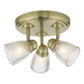 Där Lighting CED7675 - Łazienna oprawa punktowa CEDRIC 3xG9/25W/230V IP44 mosiądz